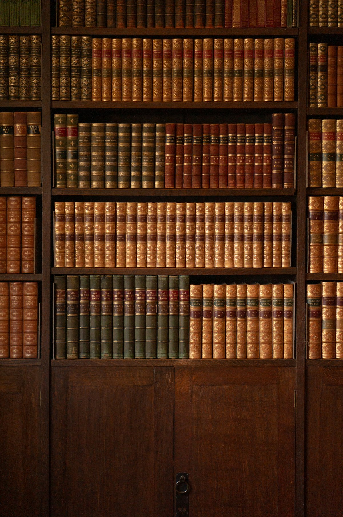 Leather-bound law books on wooden shelves